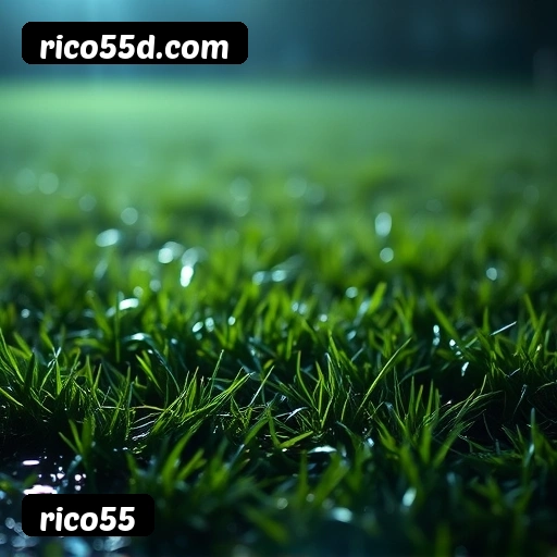 Loterias online disponíveis na rico55